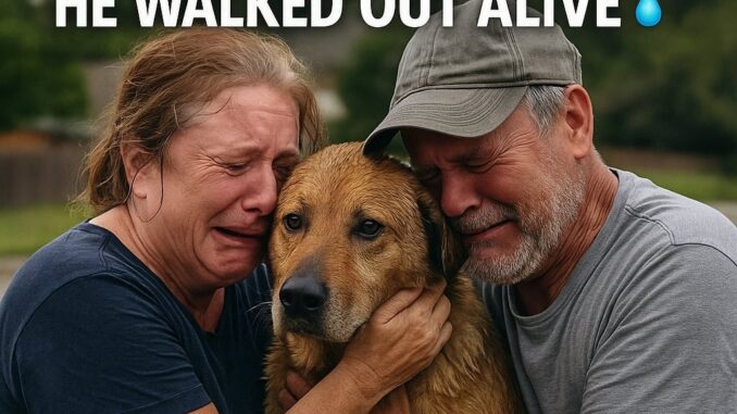 A Miracle Amid the Flood — Family Reunites with Lost Dog in Texas
