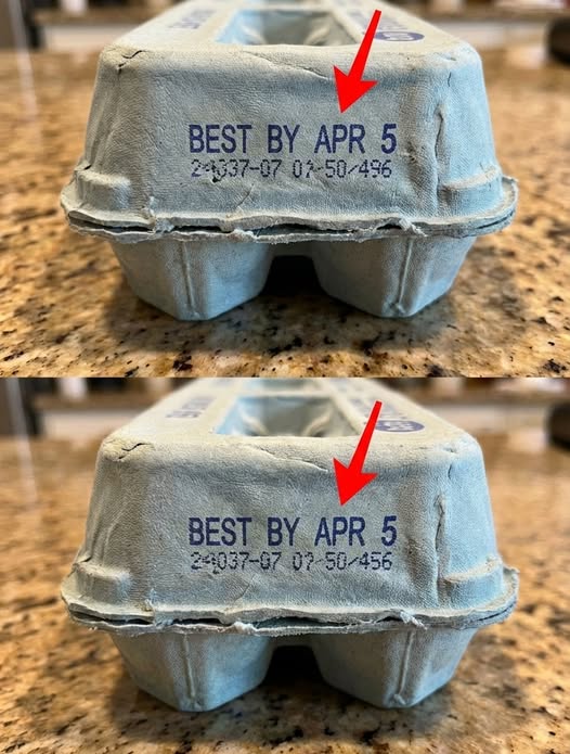 What the Numbers on Your Egg Carton Really Mean: A Comprehensive Guide to Understanding Egg Labels