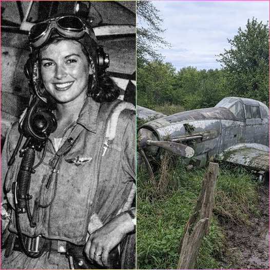 Fighter Pilot Vanished in 1944 — 70 Years Later, Her Plane Was Found in a Forest, Uncovering a Hidden War Story