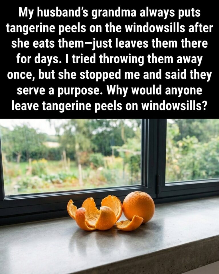 Don’t Toss Tangerine Peels! Put Them on Your Windowsills Instead