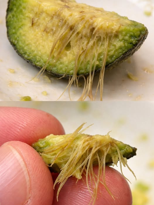 What Do the Strange Strings in Your Avocado Mean? Causes, Safety, and How to Avoid Them