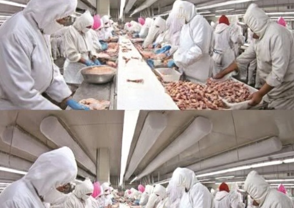 8 Common Imported Foods to Be Mindful Of: A Balanced Guide for Smarter and Safer Eating Choices