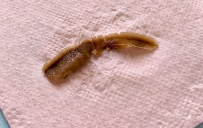 I Found This Strange Brown Object in My Girlfriend’s Bathroom — Here’s What It Turned Out to Be (And Why It’s Probably Not What You Think)