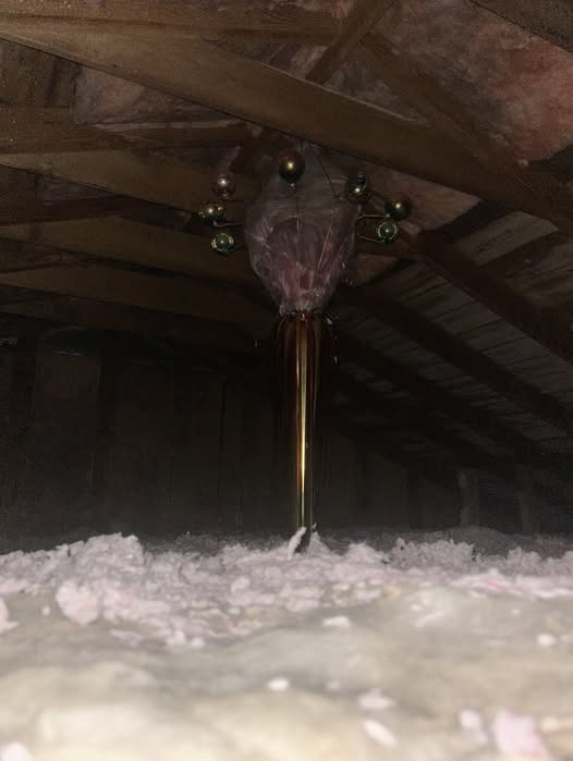 This Attic Discovery Seemed Creepy at First—But It Turned Into a Beautiful Memory