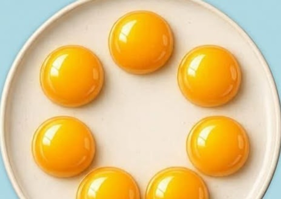 How Many Circles Do You See? — A Deeper Look at Perception, Awareness, and the Quiet Complexity of the Human Mind