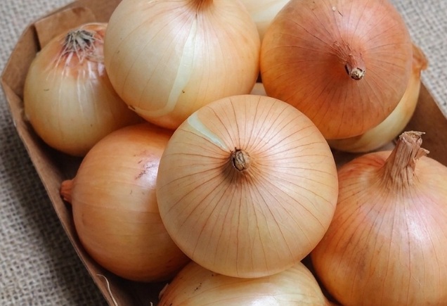 Doctors Reveal That Eating Onion May Support Heart Health, Immunity, and Digestion