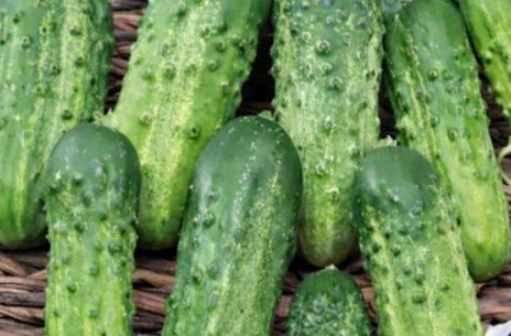 What Really Happens When You Eat Cucumber in Salads Every Day, According to Doctors