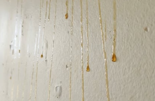 Yellow Stuff Dripping Down Your Bathroom Walls? Here’s What It Might Be and How to Fix It