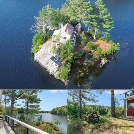 Your Private Island Sanctuary on Nay Pond: Seclusion, Nature, and Off-Grid Living in New Hampshire