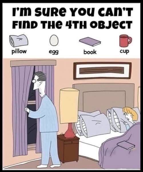 Can You Spot the Book, Egg, Cup, and Pillow in This Fun Puzzle?