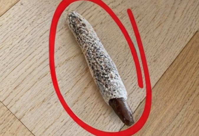 The Strange Object I Found on My Floor Turned Out to Be Something Completely Unexpected