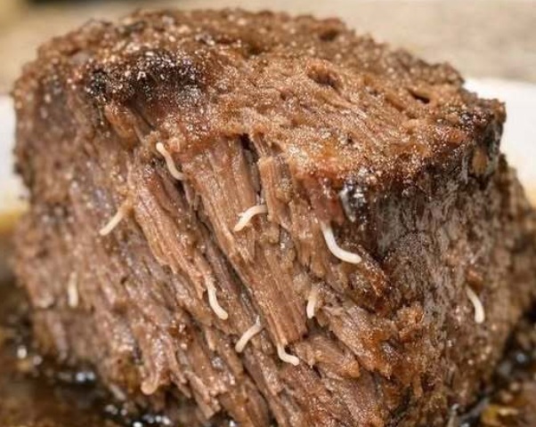 I Thought My Slow Cooker Roast Was Full of Worms — But the Real Explanation Was Far Less Terrifying